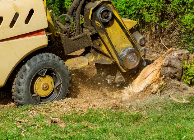 rognage d'arbres à Vieilles-Maisons-sur-Joudry près de Lorris dans le Loiret 45