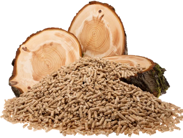 broyage d'arbres à Vieilles-Maisons-sur-Joudry près de Lorris dans le Loiret 45